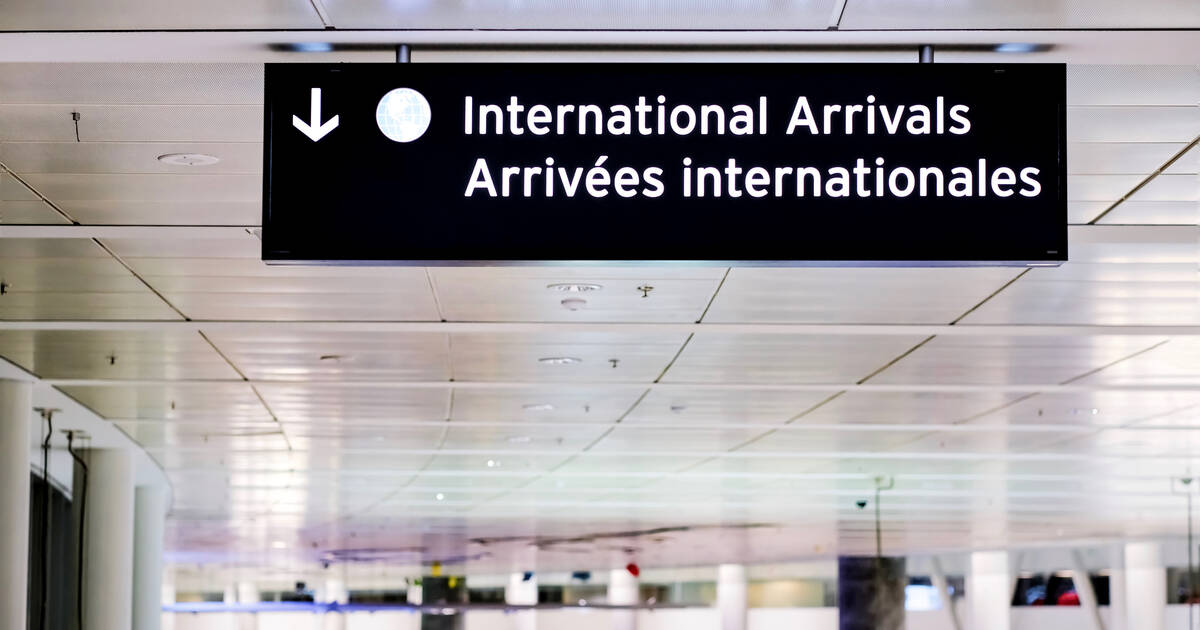 Yet another flight attendant has vanished after landing in Toronto