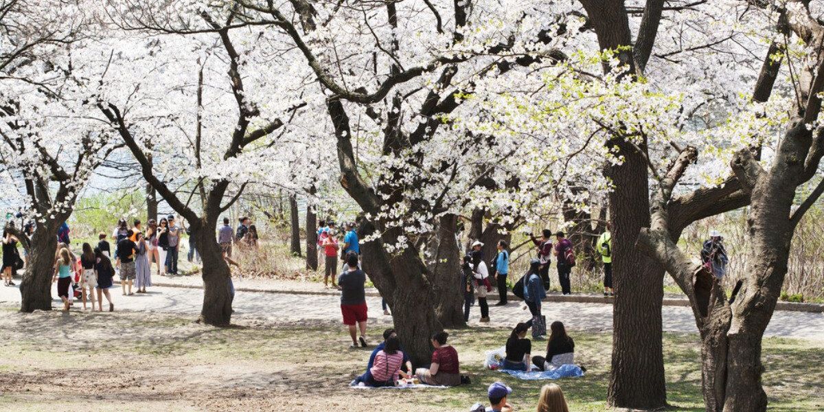 10 free things to do in Toronto this weekend, April 19 to 21, Life in canada