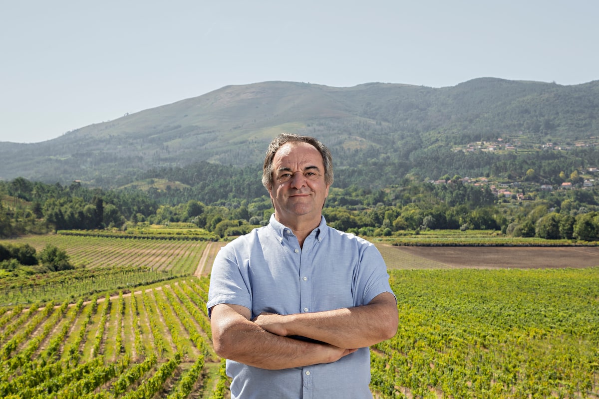 In Vinho Verde, a winemaker looks to the future with an open mind | Canada Voices In Vinho Verde, a winemaker looks to the future with an open mind | Canada Voices