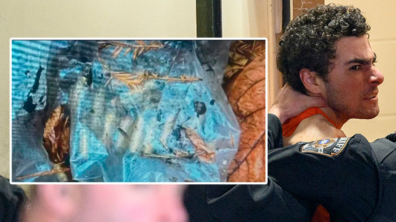 Bag of bullets found in NYC similar to ‘deny,’ ‘defend’ shells used in CEO killing
