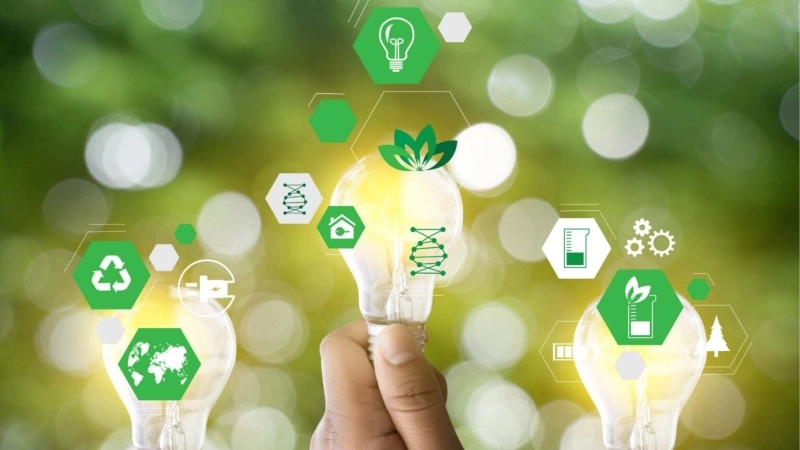 Hotel Sustainability: Top Ways to Integrate Eco-Friendly Practices at Your Hotel