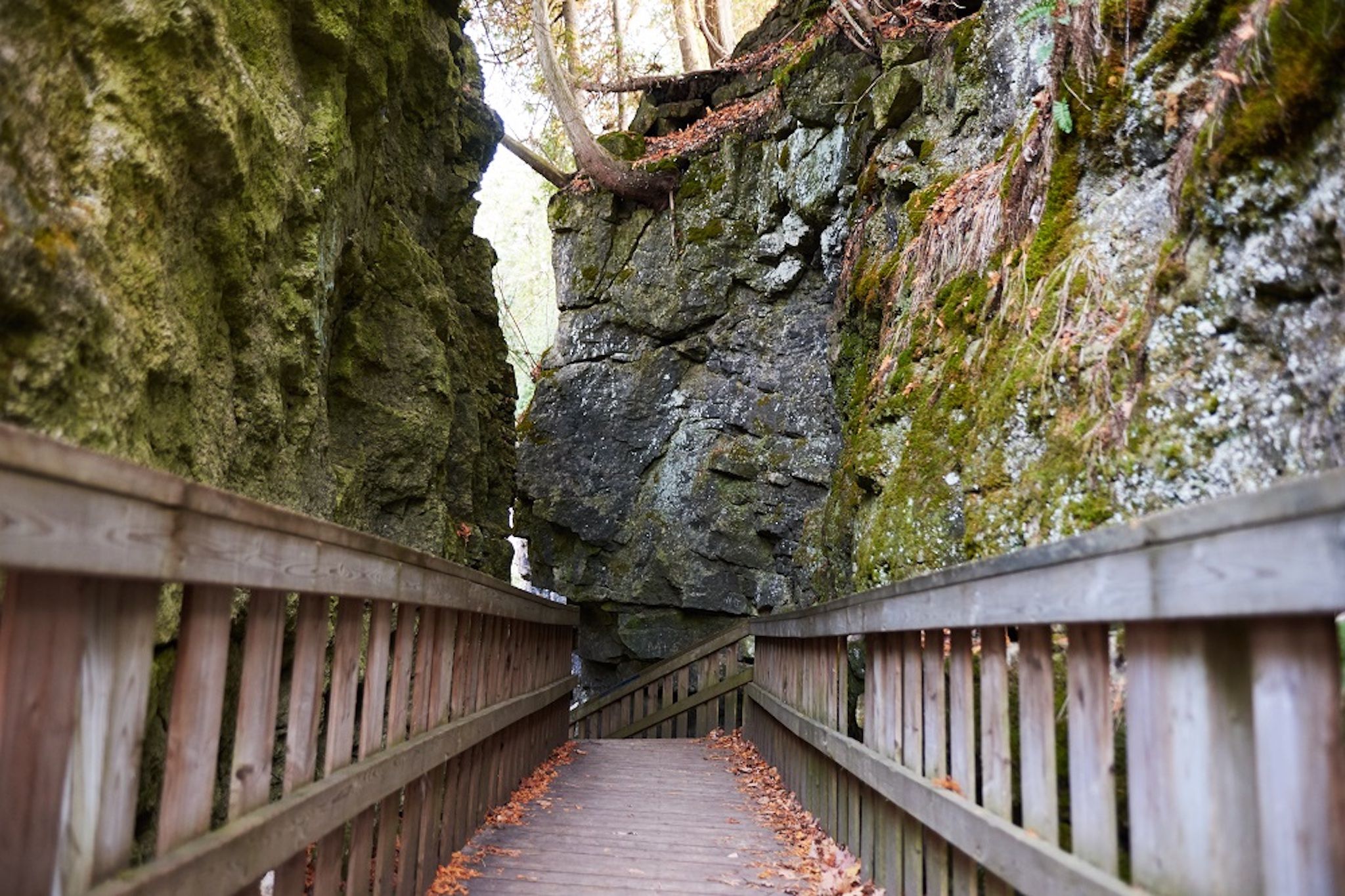 This majestic trail through a canyon is just one hour from Toronto