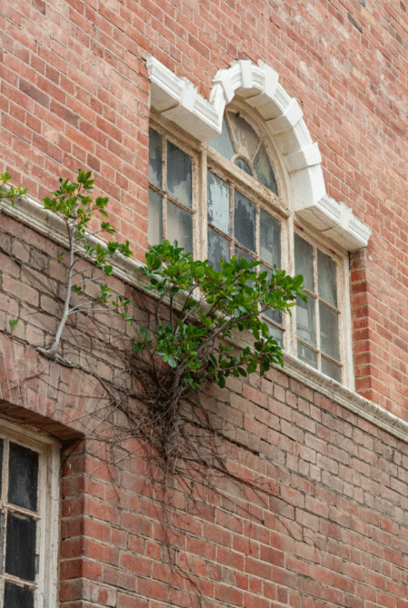 Don’t Suffer in Silence: How Solicitors Handle Housing Disrepair Claims